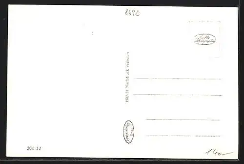 AK Neuberg a. d. Mürz, Teilansicht und Junge in Tracht