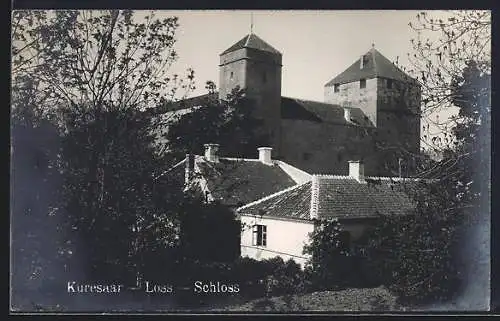 AK Kuresaar, Loss, Schloss mit angrenzenden Häusern