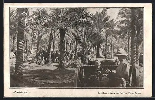 AK Mesopotamia, Artillery encamped in the Date Palms