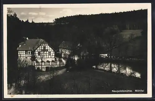 AK Eisenberg i. Thür., Mühltal, Gasthaus Naupoldsmühle aus der Vogelschau