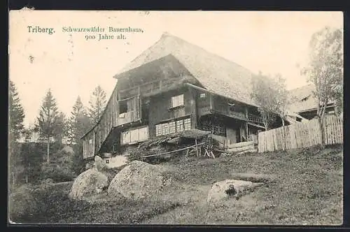 AK Triberg, Schwarzwälder Bauernhaus, 900 Jahre alt