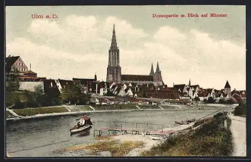 AK Ulm a. D., Donaupartie m. Blick auf Münster