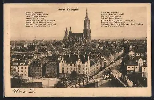 AK Ulm a. D., Blick über die Stadt auf das Münster