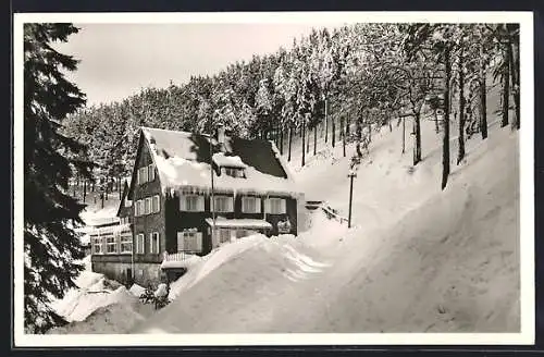 AK Schauinsland, Berghotel Sauerer im Winter