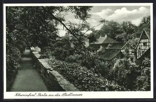 AK Schweinfurt, Partie an der Stadtmauer