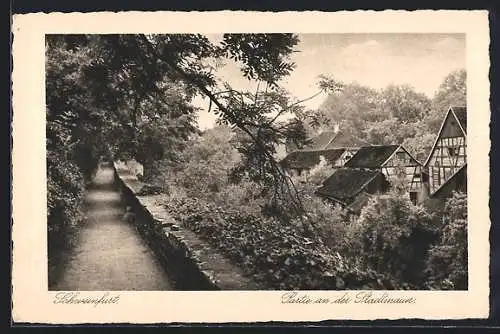 AK Schweinfurt, Partie an der Stadtmauer