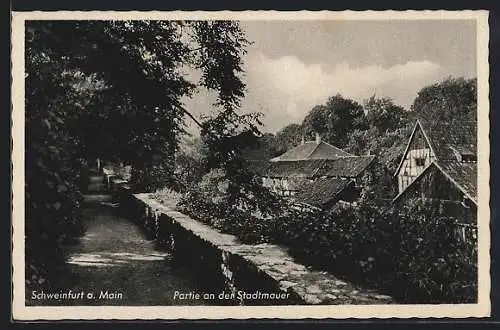 AK Schweinfurt a. Main, Partie an der Stadtmauer