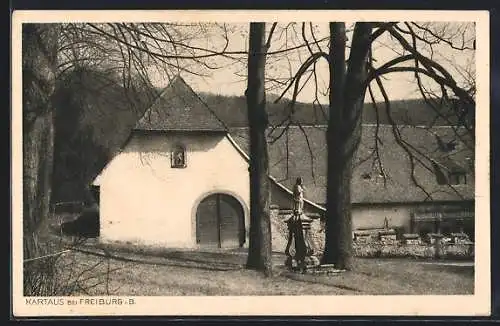 AK Freiburg i. B., Kartaus, Ansicht mit Denkmal