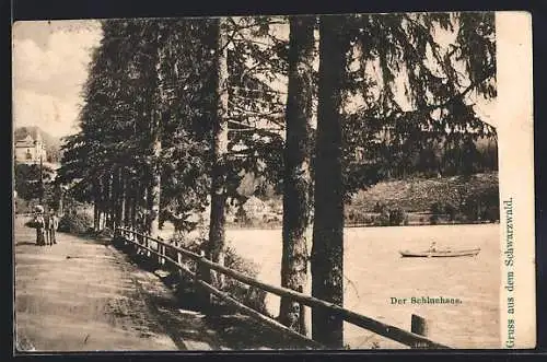 AK Schluchsee /Schwarzwald, Teilansicht