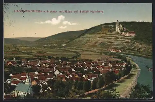 AK Hassmersheim a. Neckar, Teilansicht mit Blick auf Schloss Hornberg