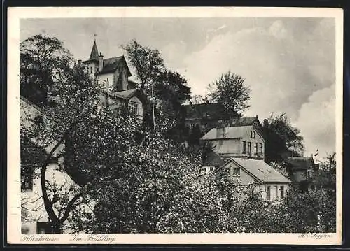 AK Hamburg-Blankenese, Partie im Frühling