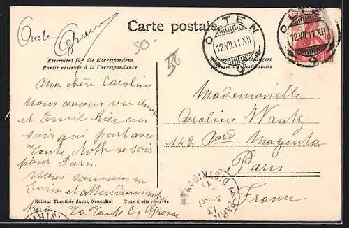 AK Olten, Blick über die Aare auf den Ort, Blumenwiese