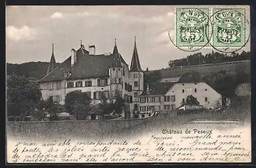 AK Peseux, Château