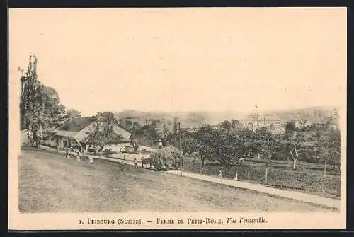 AK Fribourg, Ferme de Petit-Rome, Vue d`ensemble