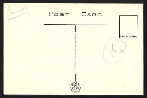 AK Timmins, Pine Street