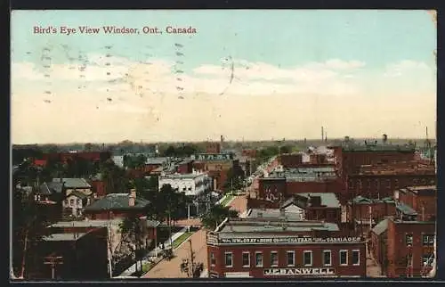 AK Windsor, Birds Eye View
