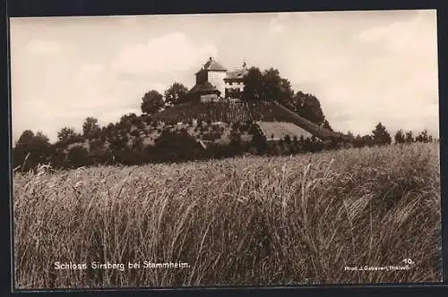 AK Stammheim, Weinberg mit Schloss Girsberg