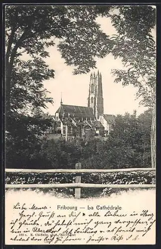 AK Fribourg, La Cathédrale