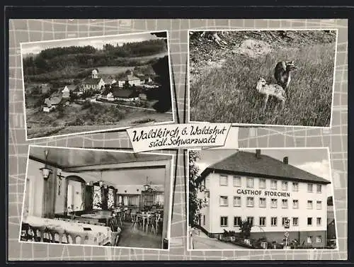 AK Waldkirch / Waldshut, Gasthaus Zum Storchen, Ortsansicht, Rehe