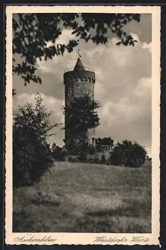 AK Aschersleben, Westdorfer Warte
