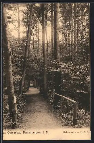 AK Brunshaupten i. M., Helenenweg im Wald