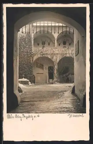 AK Feistritz am Wechsel, Burg, Hofansicht