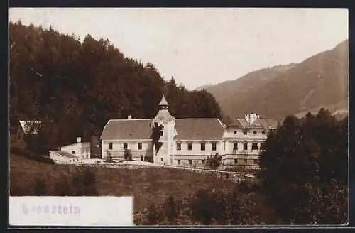 Foto-AK Pörtschach /Wörthersee, Schloss Leonstein am Waldrand