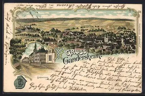 Lithographie Gandersheim, Gymnasium mit Strasse, Gesamtansicht mit Feldern aus der Vogelschau, Wappen
