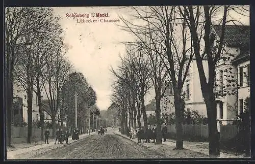 AK Schönberg i. Meckl., Lübecker-Chaussee mit Anwohnern