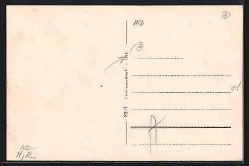 AK Wien, K. k. Belvedere, Heugasse 3, Schwäne