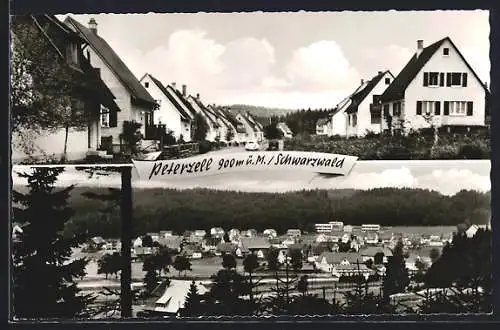 AK Peterzell /Schwarzwald, Gesamtansicht, Strassenpartie