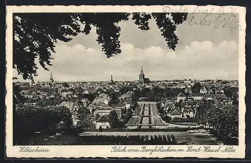 AK Hildesheim, Ansicht aus Restaurant Berghölzchen, Inh. F. Köther