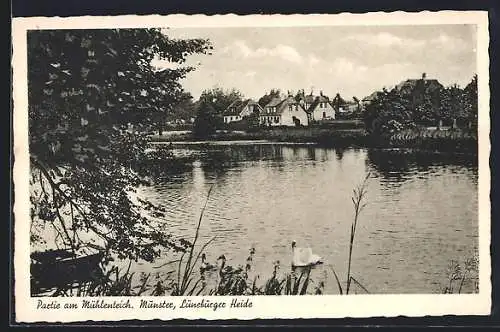 AK Munster /Lüneburger Heide, Partie am Mühlenteich