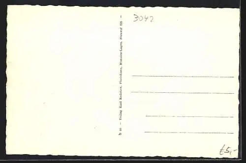 AK Munster /Lüneburger Heide, Partie am Mühlenteich