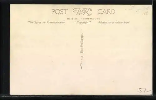 AK Zwei junge Katzen auf einem Kissen