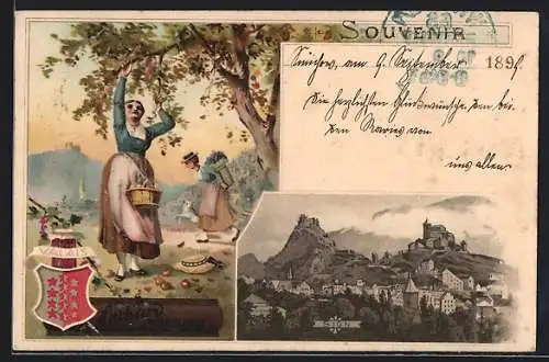 Lithographie Sion, Ortsansicht von oben, Reklame für Suchard Chocolade, Frauen bei der Apfelernte