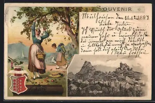 Lithographie Sion, Ortsansicht von oben, Reklame für Suchard Chocolade, Frauen bei der Apfelernte