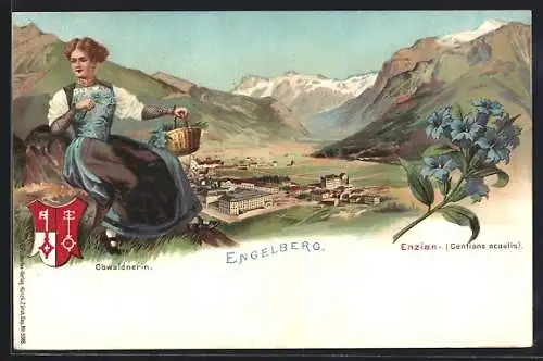 Lithographie Engelberg, Obwaldnerin in Tracht, Enzian, Wappen
