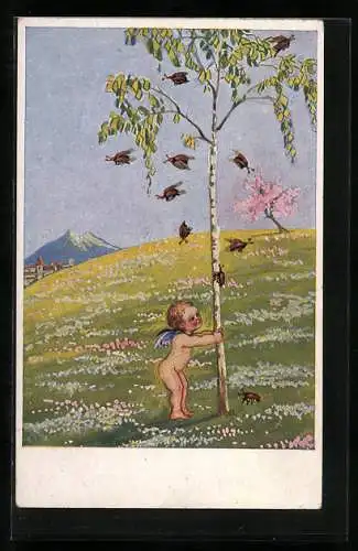 AK Engel schüttelt Maikäfer vom Baum