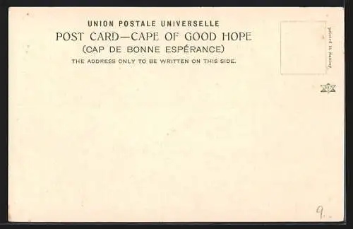 AK Rondebosch, Groot Schuur