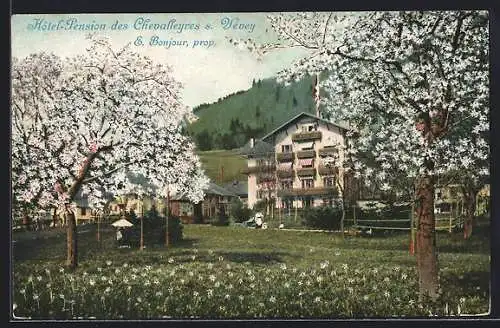AK Vevey, Hôtel Pension des Chevalleyres, E. Bonjour, prop.