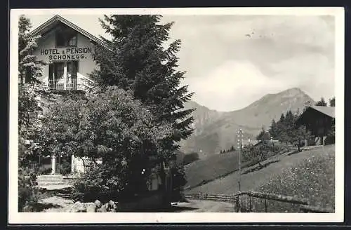 AK Kiental, Hotel und Pension Schönegg mit Bergpanorama