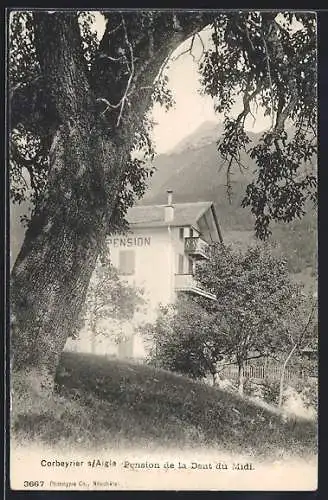 AK Corbeyrier s. Aigle, Pension de la Dent du Midi