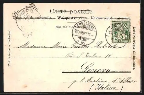 AK Engelberg, Totalansicht mit Gebirgspanorama, Hotel Hug