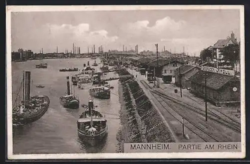 AK Mannheim, Partie am Rhein mit Dampfschiffen