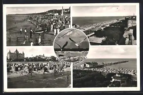 AK Zinnowitz, Ostseebad, Strandpartie, Möwen, Steg