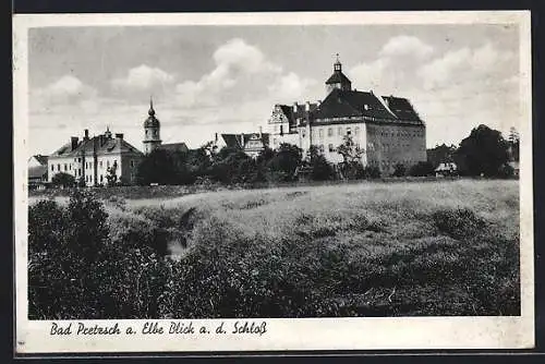 AK Bad Pretzsch a. Elbe., Blick auf das Schloss