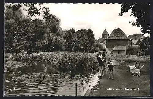 AK Schermbeck / Niederrhein, Uferpartie mit Enten