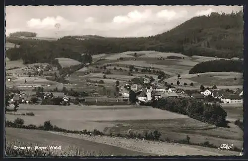 AK Chamerau /Bayer. Wald, Panorama