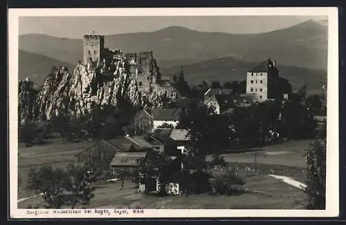 AK Weissenstein /Bayer. Wald, Burgruine bei Regen